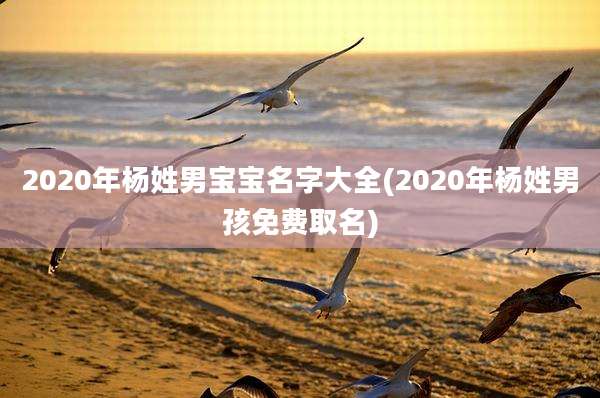 2020年杨姓男宝宝名字大全(2020年杨姓男孩免费取名)
