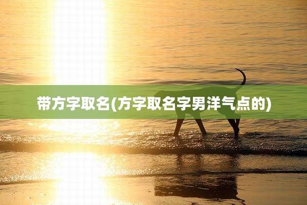 带方字取名(方字取名字男洋气点的)