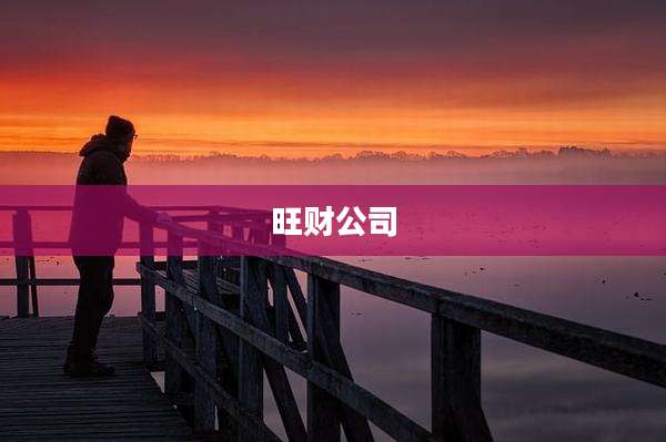 旺财公司