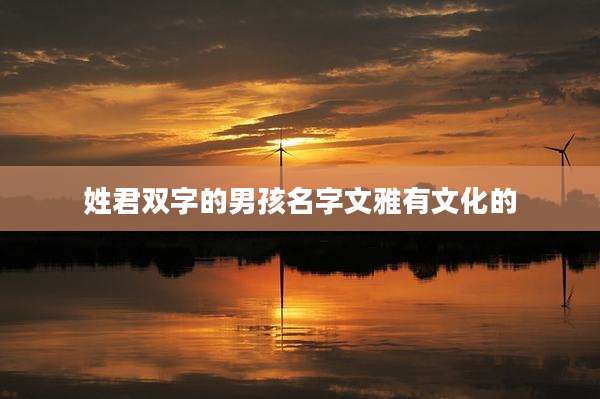 姓君双字的男孩名字文雅有文化的