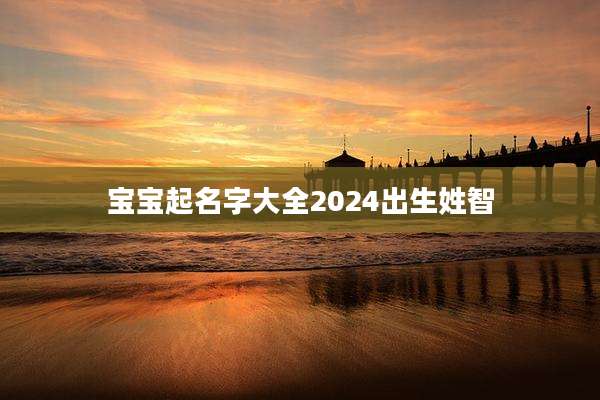 宝宝起名字大全2024出生姓智