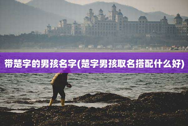 带楚字的男孩名字(楚字男孩取名搭配什么好)