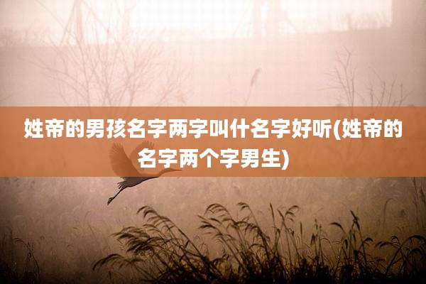 姓帝的男孩名字两字叫什名字好听(姓帝的名字两个字男生)