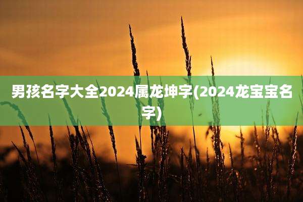 男孩名字大全2024属龙坤字(2024龙宝宝名字)