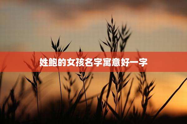 姓鲍的女孩名字寓意好一字