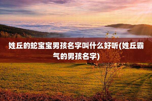 姓丘的蛇宝宝男孩名字叫什么好听(姓丘霸气的男孩名字)