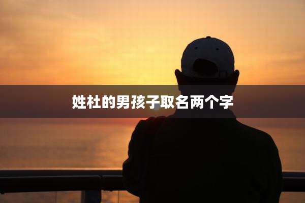 姓杜的男孩子取名两个字