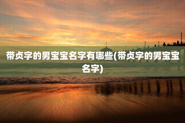 带贞字的男宝宝名字有哪些(带贞字的男宝宝名字)