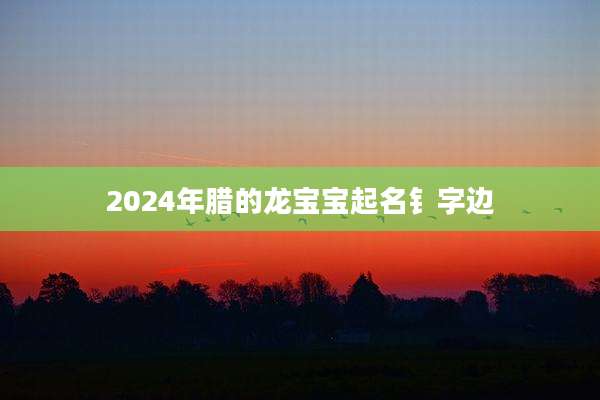 2024年腊的龙宝宝起名钅字边