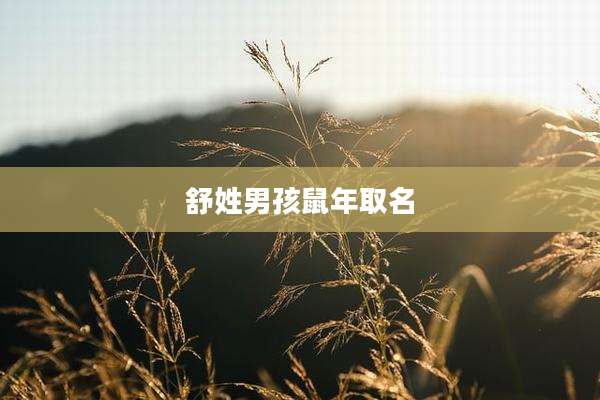 舒姓男孩鼠年取名
