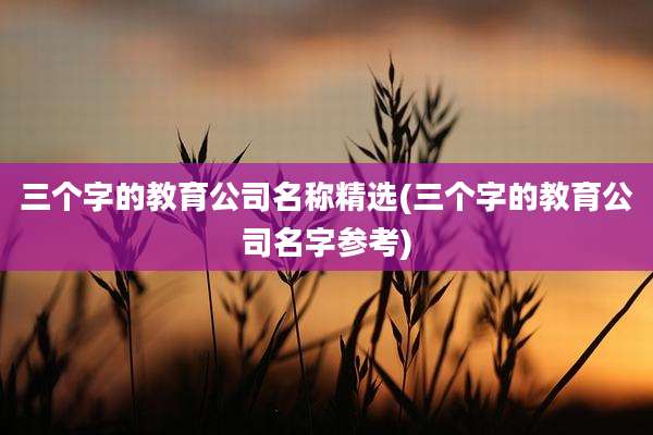 三个字的教育公司名称精选(三个字的教育公司名字参考)