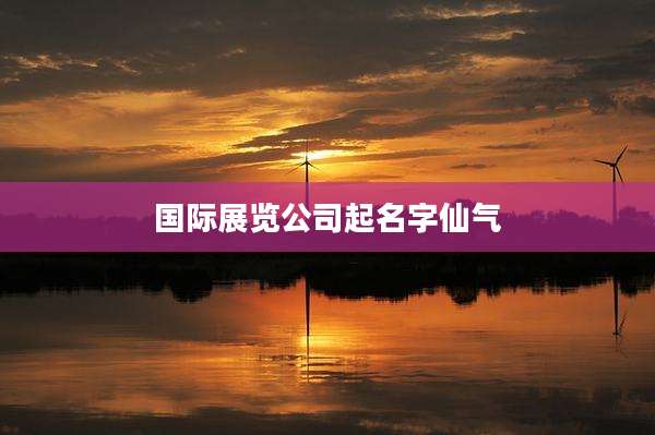 国际展览公司起名字仙气