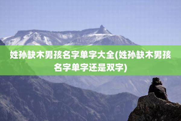 姓孙缺木男孩名字单字大全(姓孙缺木男孩名字单字还是双字)