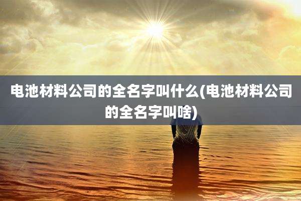电池材料公司的全名字叫什么(电池材料公司的全名字叫啥)