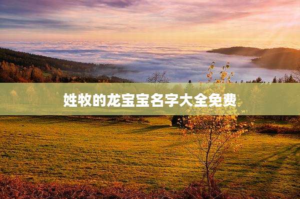 姓牧的龙宝宝名字大全免费