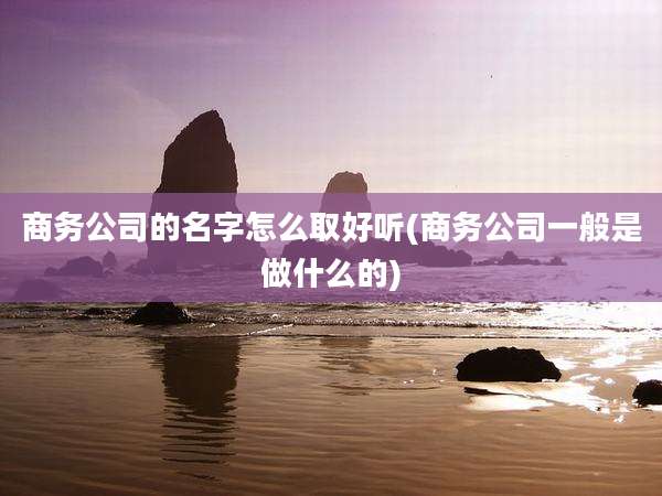 商务公司的名字怎么取好听(商务公司一般是做什么的)
