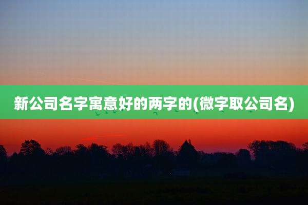 新公司名字寓意好的两字的(微字取公司名)