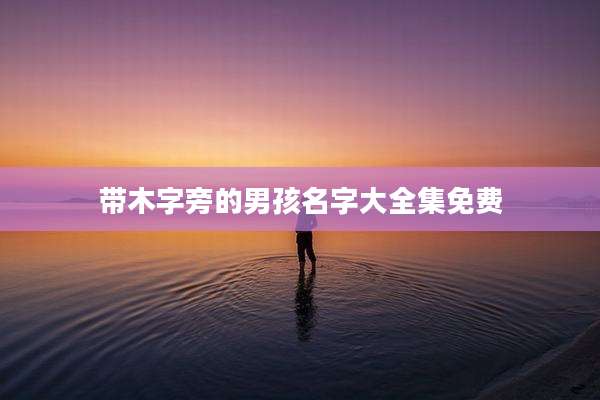 带木字旁的男孩名字大全集免费