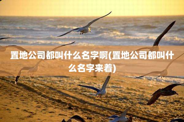 置地公司都叫什么名字啊(置地公司都叫什么名字来着)