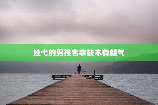 姓弋的男孩名字缺木有朝气