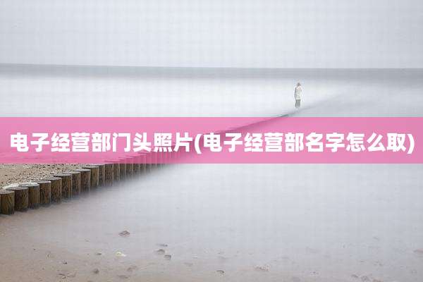 电子经营部门头照片(电子经营部名字怎么取)