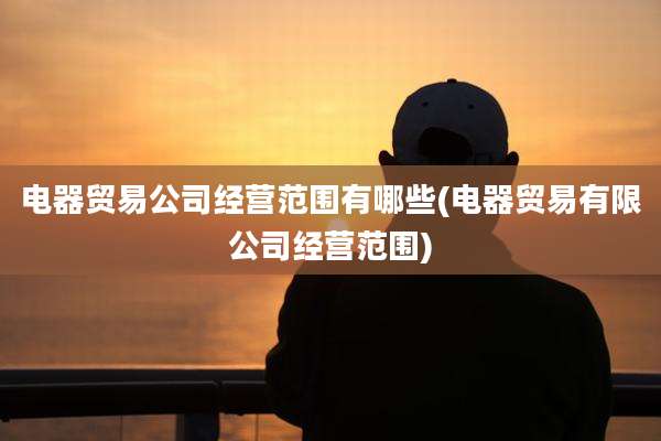 电器贸易公司经营范围有哪些(电器贸易有限公司经营范围)
