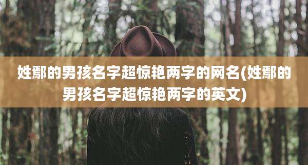 姓鄢的男孩名字超惊艳两字的网名(姓鄢的男孩名字超惊艳两字的英文)
