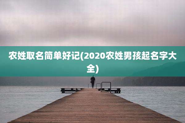 农姓取名简单好记(2020农姓男孩起名字大全)