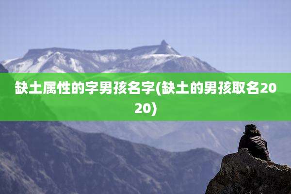 缺土属性的字男孩名字(缺土的男孩取名2020)