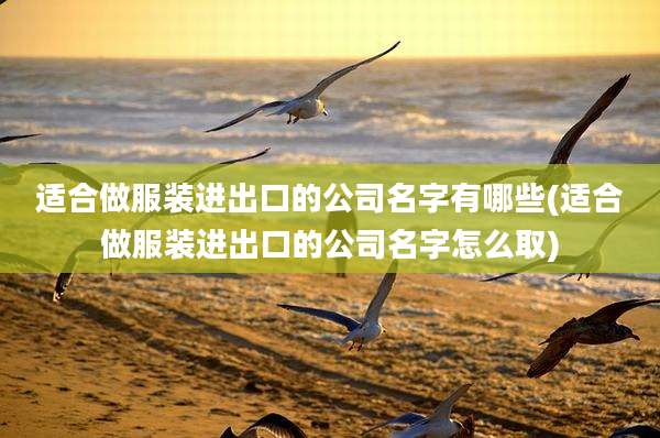 适合做服装进出口的公司名字有哪些(适合做服装进出口的公司名字怎么取)