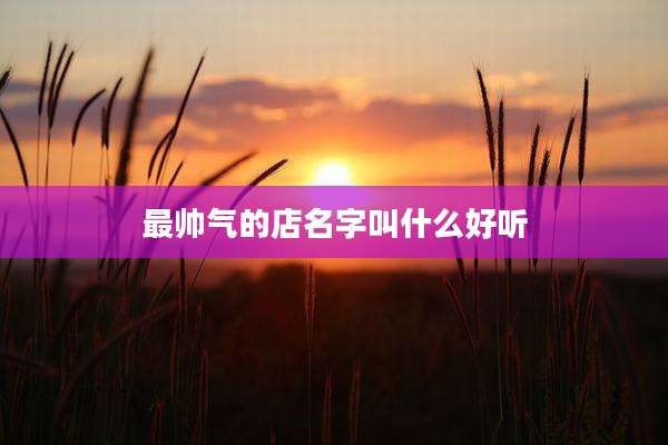 最帅气的店名字叫什么好听