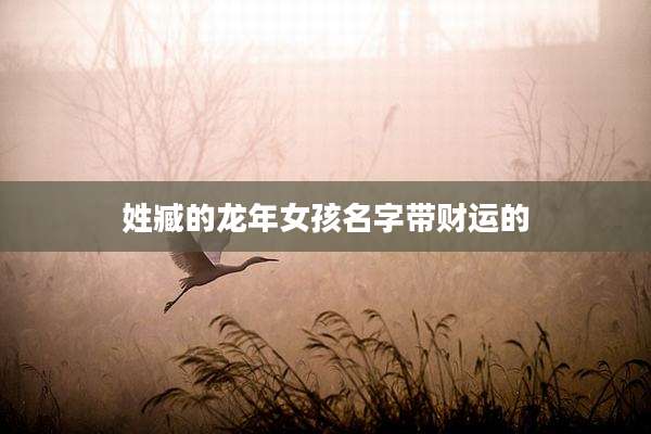 姓臧的龙年女孩名字带财运的