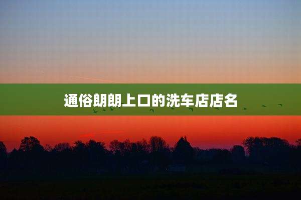 通俗朗朗上口的洗车店店名