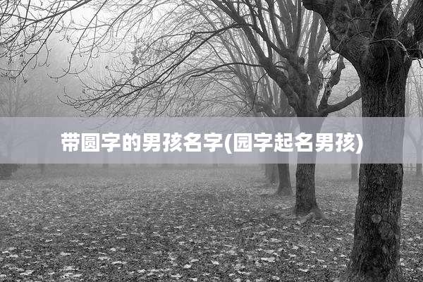 带圆字的男孩名字(园字起名男孩)