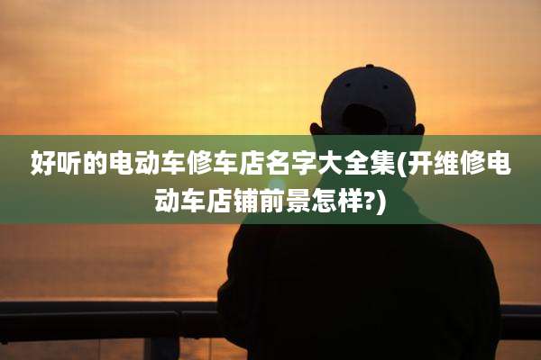 好听的电动车修车店名字大全集(开维修电动车店铺前景怎样?)