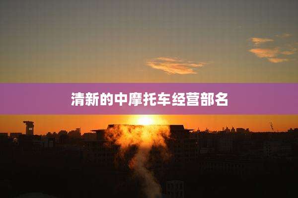 清新的中摩托车经营部名