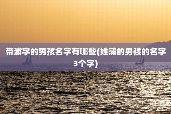 带浦字的男孩名字有哪些(姓蒲的男孩的名字3个字)