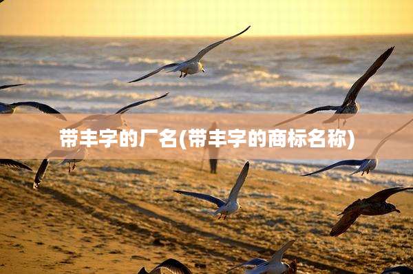 带丰字的厂名(带丰字的商标名称)