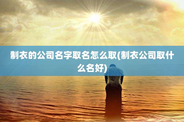 制衣的公司名字取名怎么取(制衣公司取什么名好)