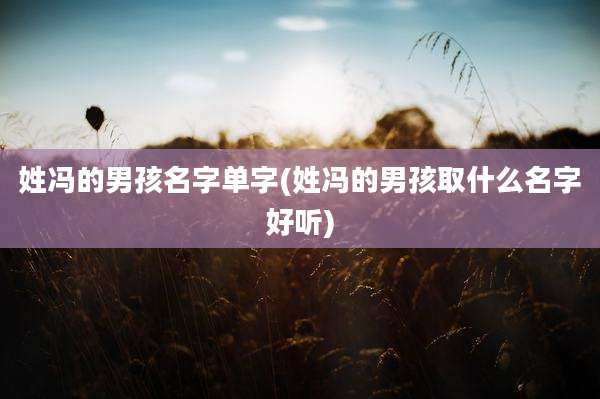姓冯的男孩名字单字(姓冯的男孩取什么名字好听)