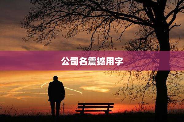 公司名震撼用字