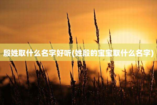 殷姓取什么名字好听(姓殷的宝宝取什么名字)