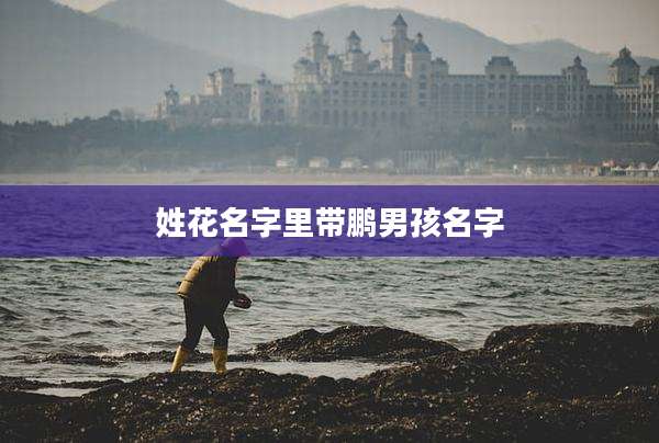 姓花名字里带鹏男孩名字
