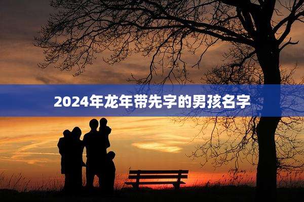 2024年龙年带先字的男孩名字