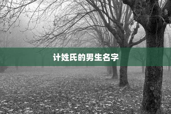 计姓氏的男生名字