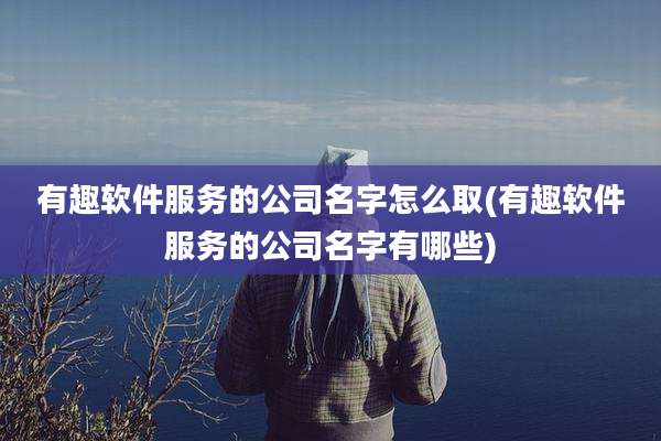 有趣软件服务的公司名字怎么取(有趣软件服务的公司名字有哪些)
