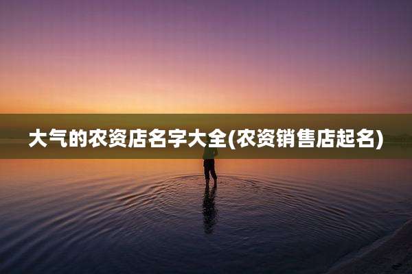 大气的农资店名字大全(农资销售店起名)