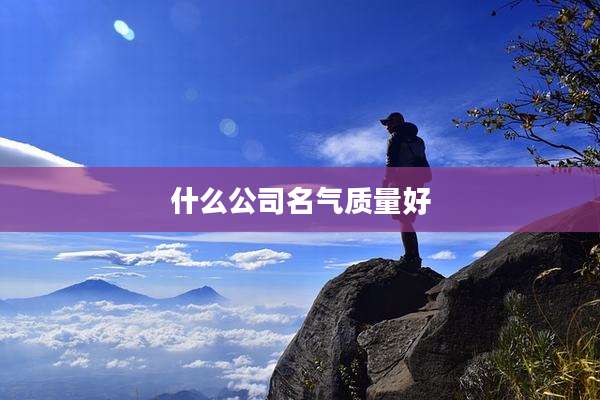 什么公司名气质量好