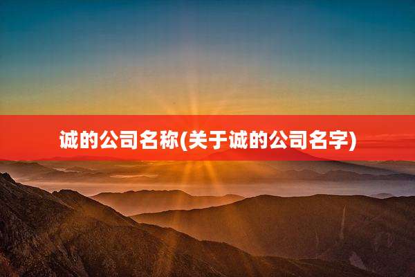 诚的公司名称(关于诚的公司名字)