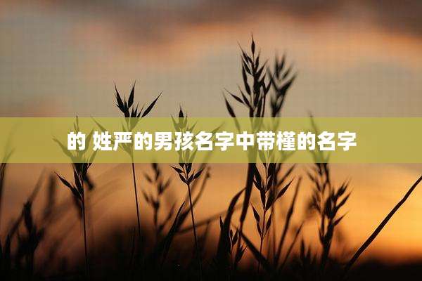 的 姓严的男孩名字中带槿的名字